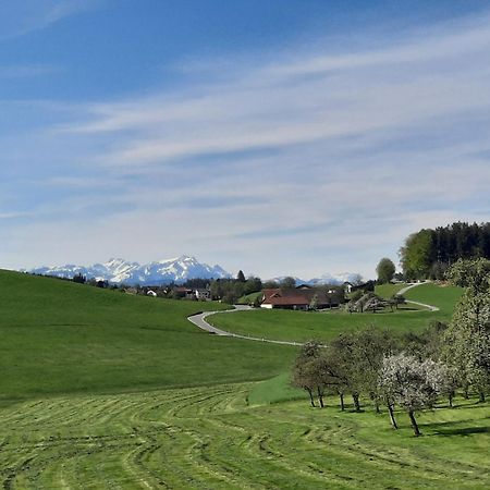 Ferienwohnung Pusteblume Neukirch  Exteriör bild