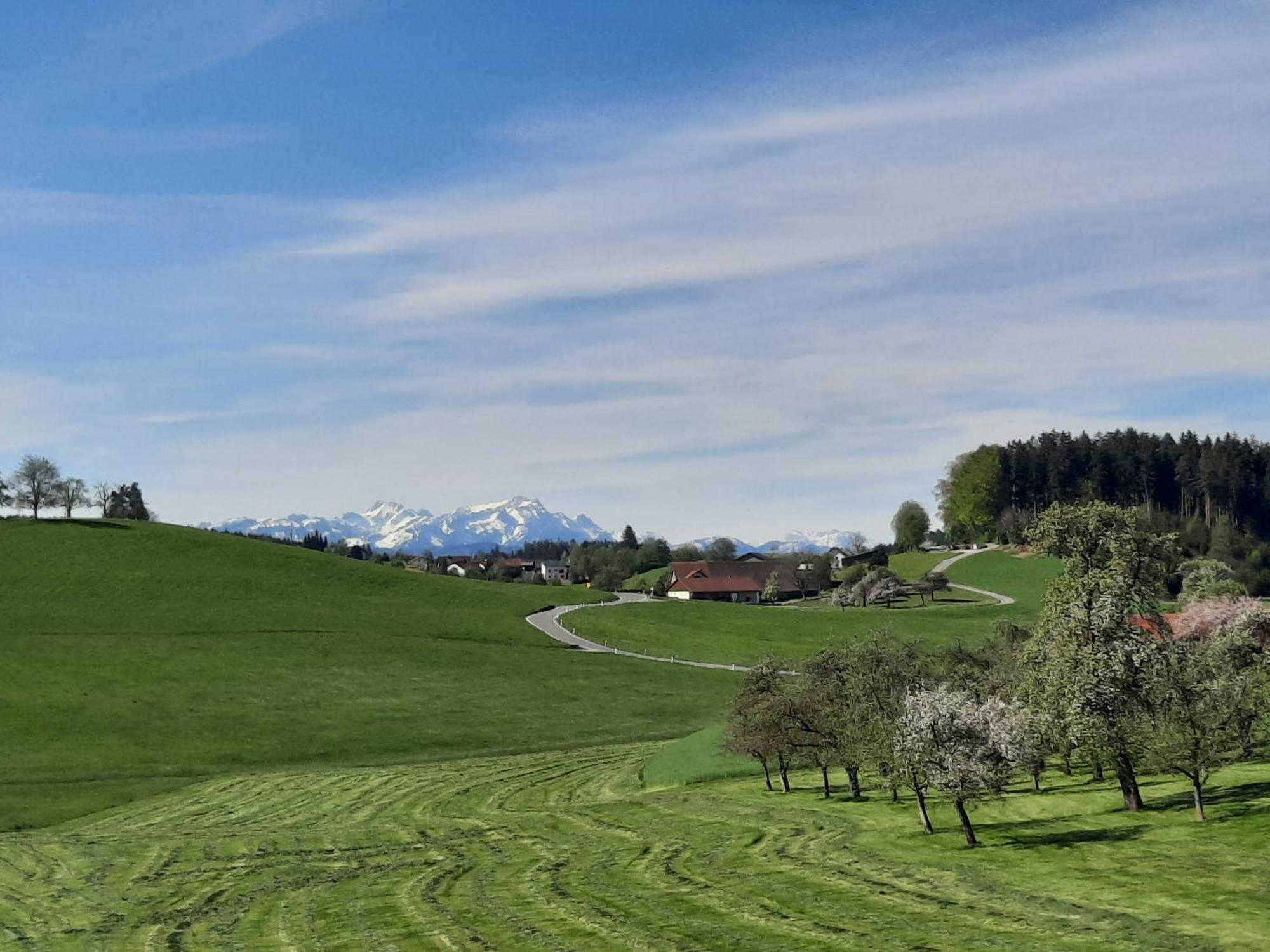 Ferienwohnung Pusteblume Neukirch  Exteriör bild